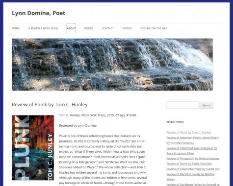 Plunk reviewed by poet Lynn Domina