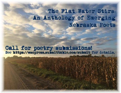 The Flat Water Stirs: DEADLINE EXTENDED! Now Feb. 14th 2017