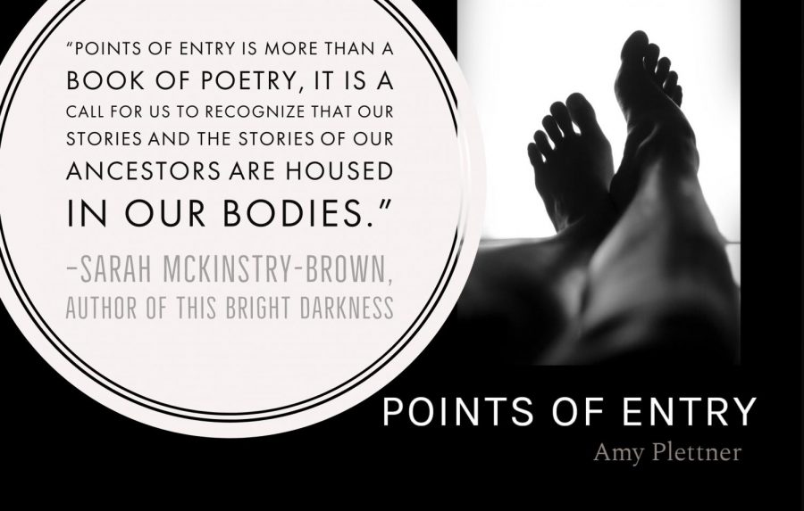 Points of Entry by Amy Plettner