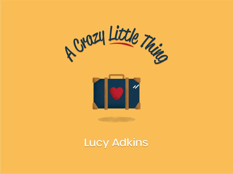 A Crazy Little Thing by Lucy Adkins
