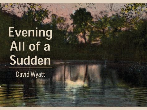 Evening All of Sudden by David Wyatt