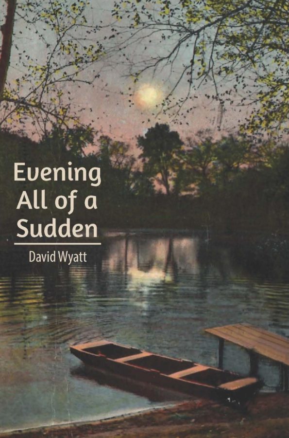 Evening All of a Sudden by David Wyatt